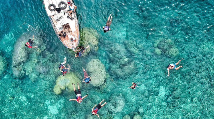 snorkeling-charter